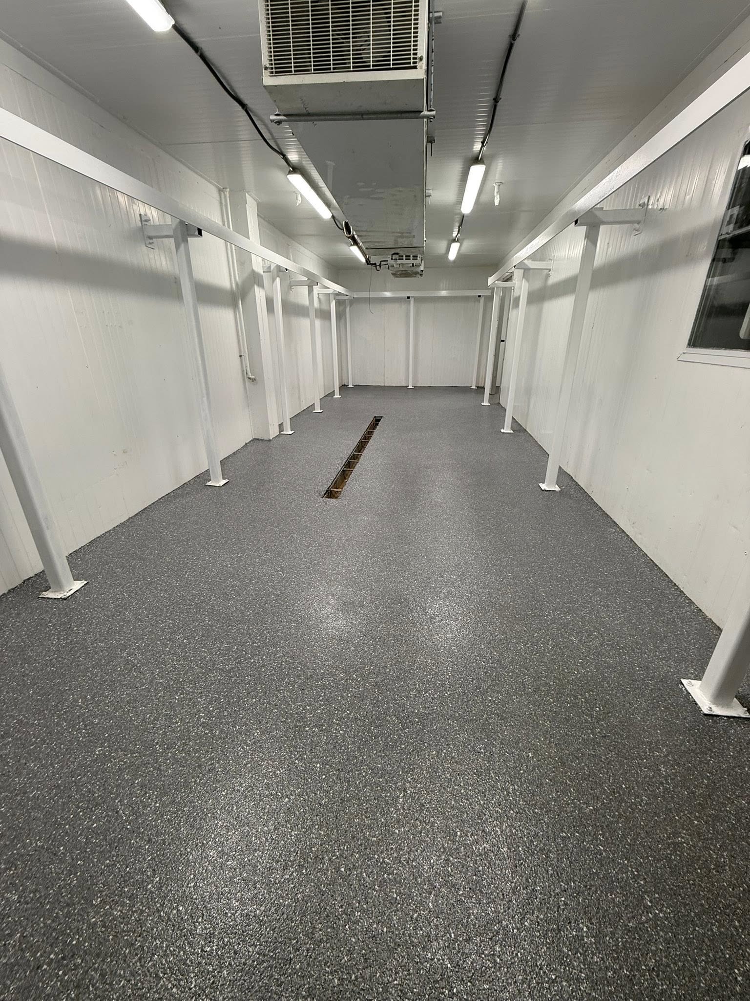 Modern Flake Concrete Coating flake quartz epoxy system Windsor Ontario
